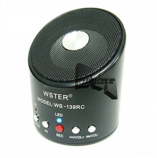MINI HI-FI CASSA SPEAKER RADIO FM RICARICABILE MP3 MP4 PC MAC USB WS-139RC mshop